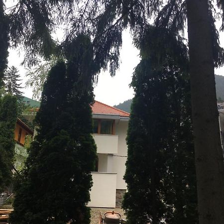 Manyi Villa BaileTusnad Zewnętrze zdjęcie