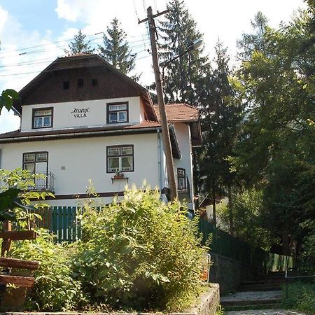 Manyi Villa BaileTusnad Zewnętrze zdjęcie