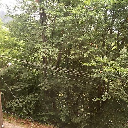 Manyi Villa BaileTusnad Zewnętrze zdjęcie