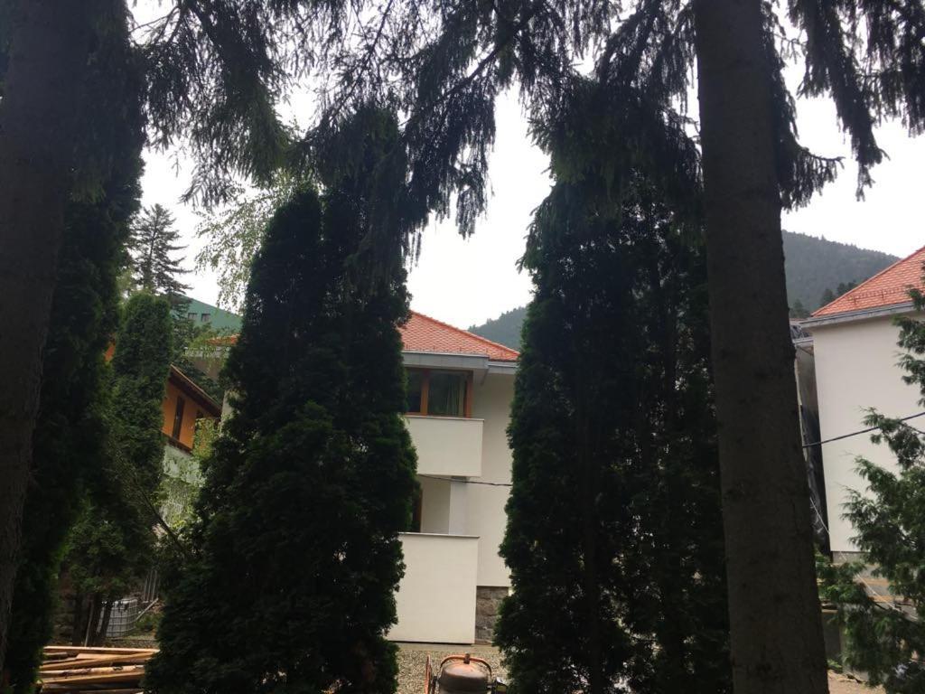 Manyi Villa BaileTusnad Zewnętrze zdjęcie