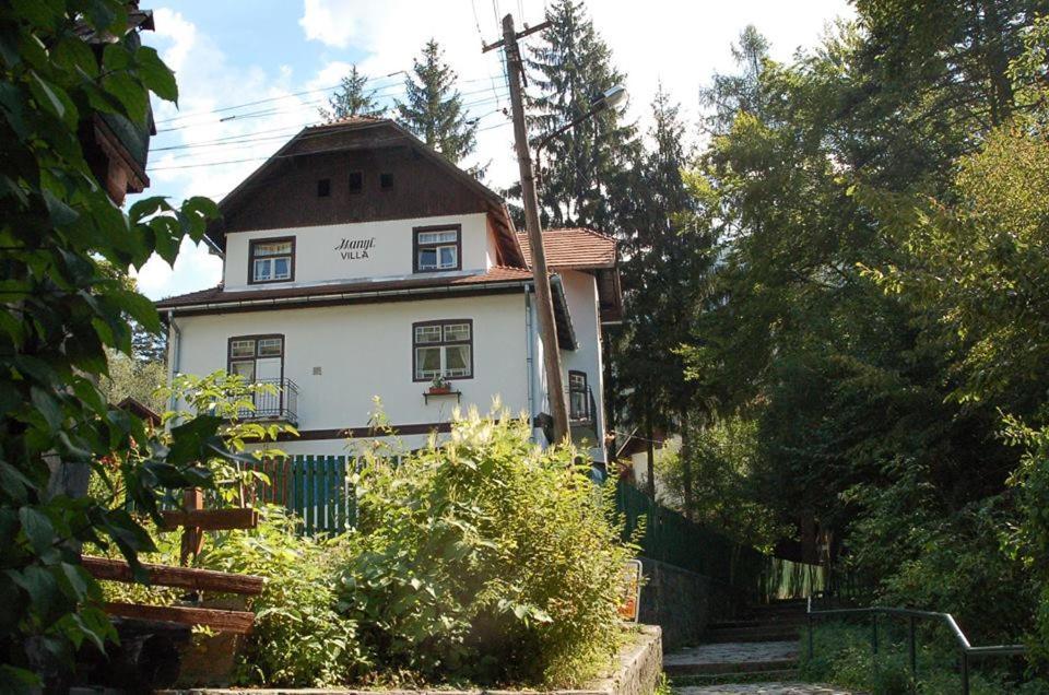 Manyi Villa BaileTusnad Zewnętrze zdjęcie