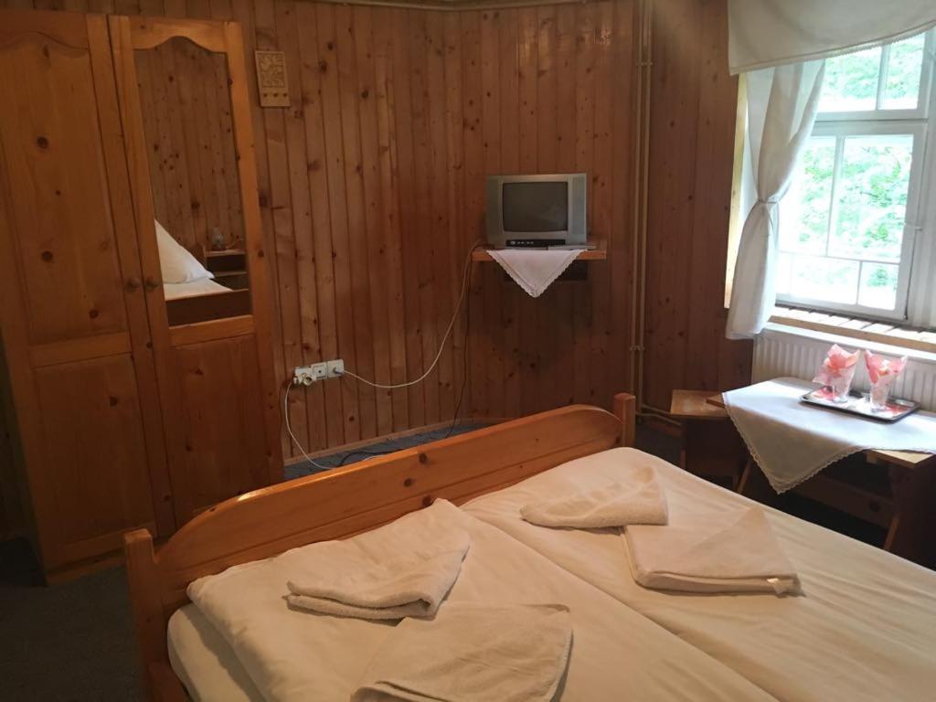Manyi Villa BaileTusnad Zewnętrze zdjęcie