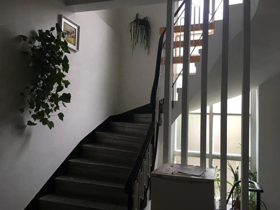 Manyi Villa BaileTusnad Zewnętrze zdjęcie