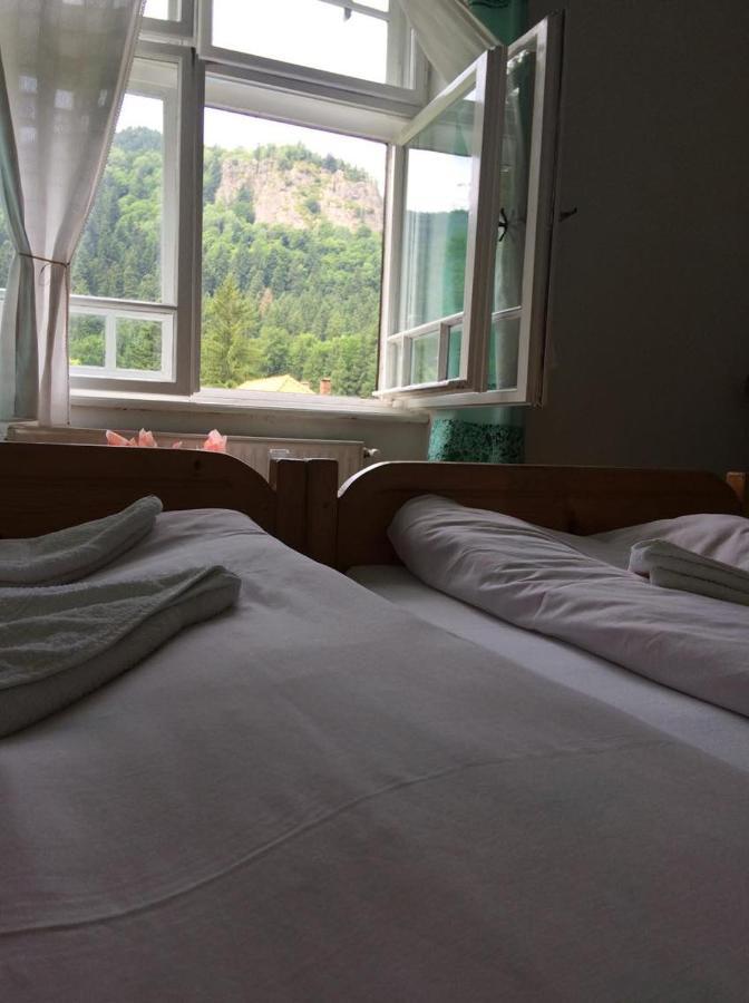 Manyi Villa BaileTusnad Zewnętrze zdjęcie