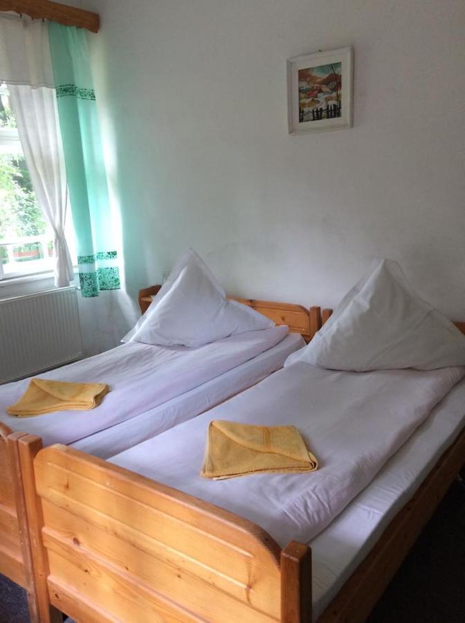 Manyi Villa BaileTusnad Zewnętrze zdjęcie