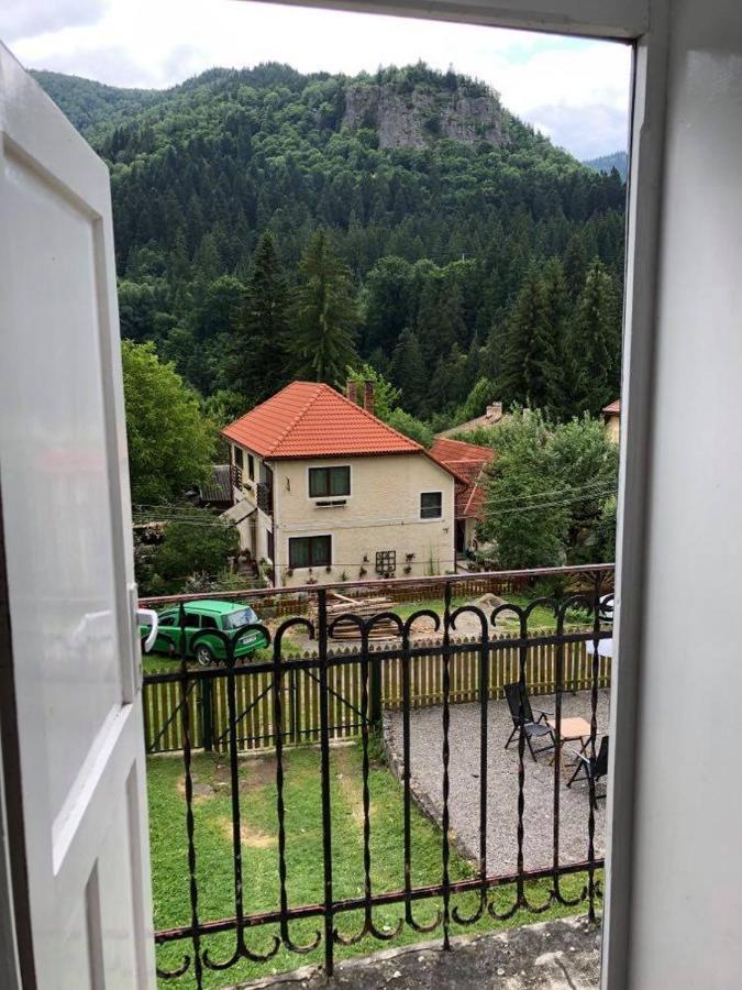 Manyi Villa BaileTusnad Zewnętrze zdjęcie