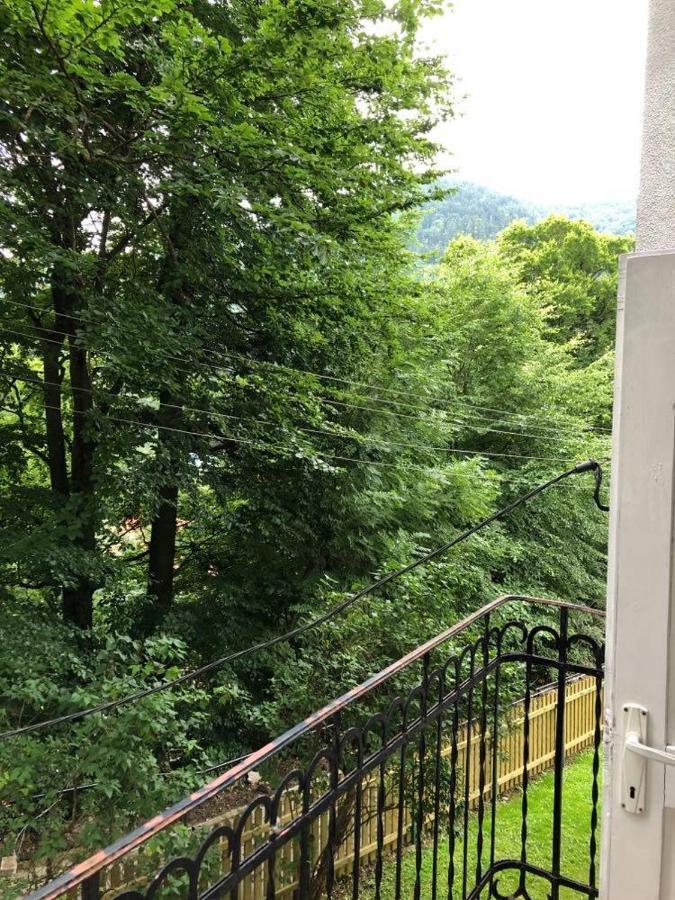 Manyi Villa BaileTusnad Zewnętrze zdjęcie