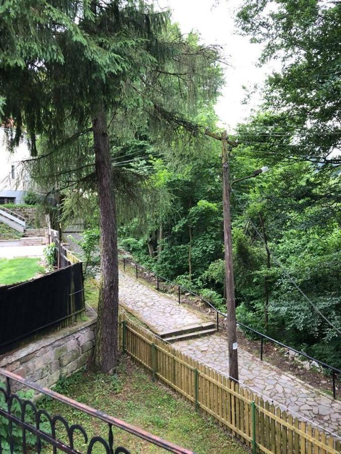 Manyi Villa BaileTusnad Zewnętrze zdjęcie