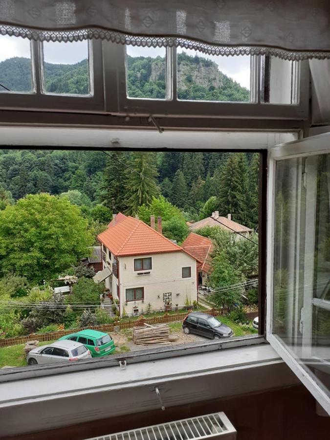 Manyi Villa BaileTusnad Zewnętrze zdjęcie