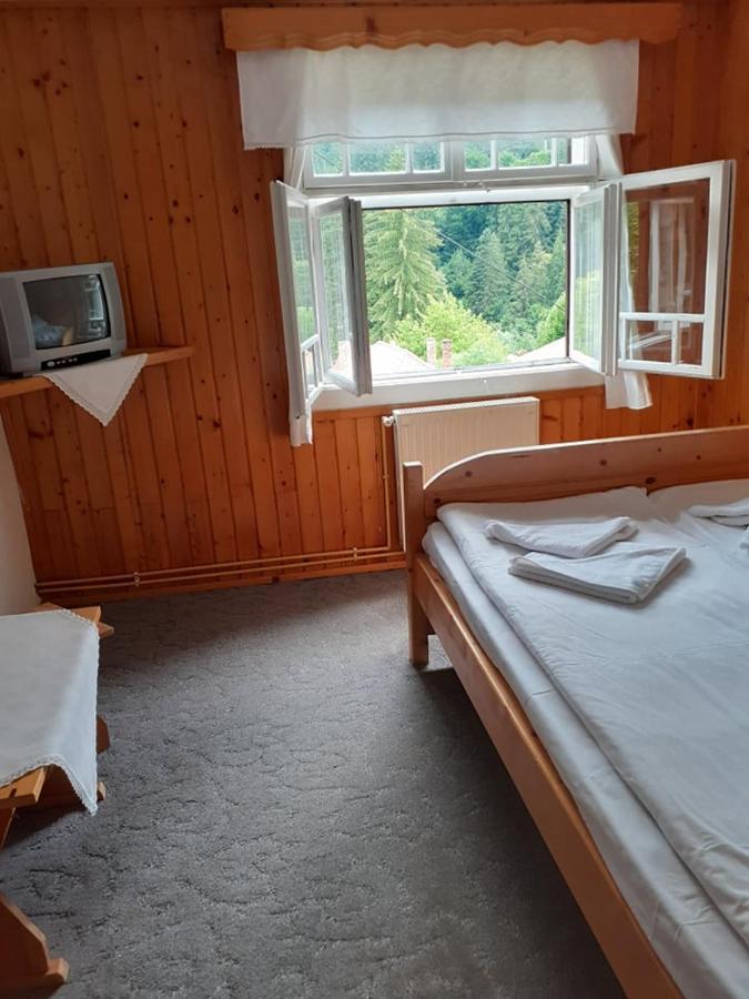 Manyi Villa BaileTusnad Zewnętrze zdjęcie